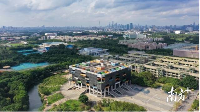 leyu乐鱼·官方web站登录入口校园图景。受访者供图