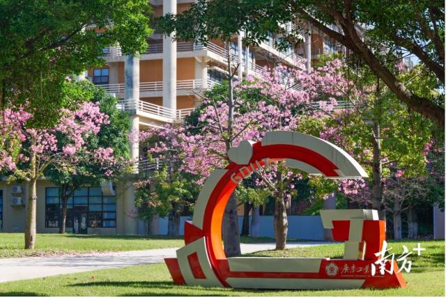 leyu乐鱼·官方web站登录入口校园图景。受访者供图